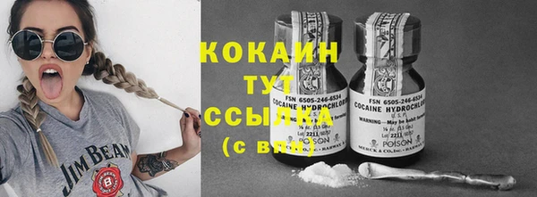 шишки Алексин