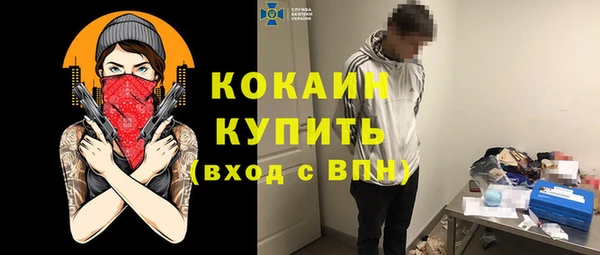 крисы Алексеевка
