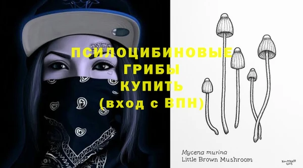 крисы Алексеевка