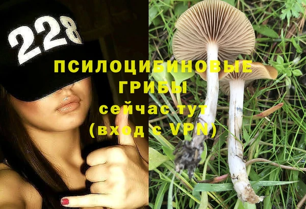 шишки Алексин