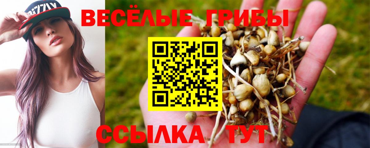 Чебоксары  Галлюциногенные грибы Psilocybine cubensis  Вход с VPN 